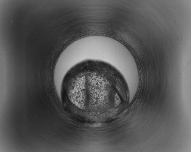 X0000093170456200710101215