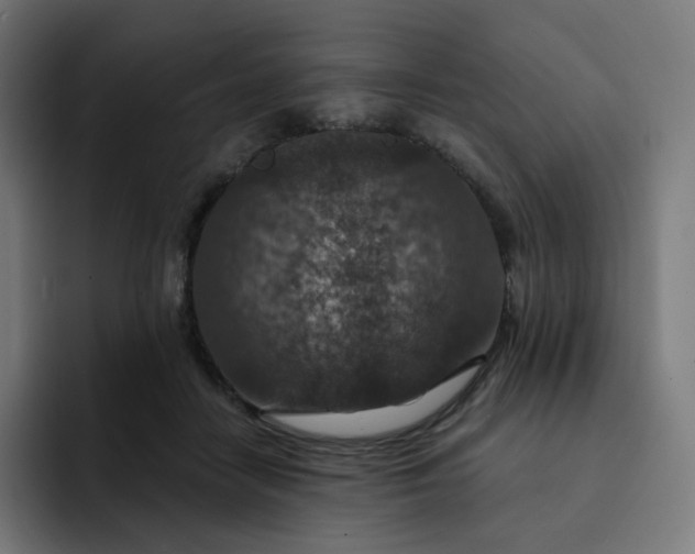X0000093170458200710101215
