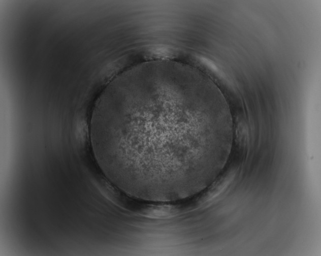X0000093170459200710101215