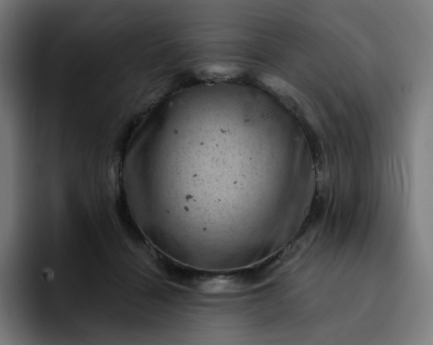 X0000093170460200710101215