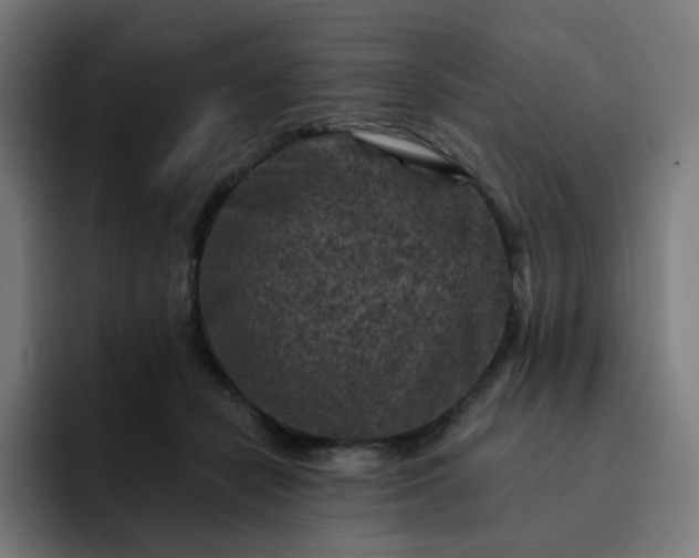 X0000093170462200710101215