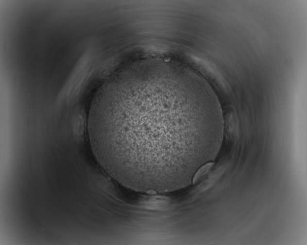 X0000093170463200710101215