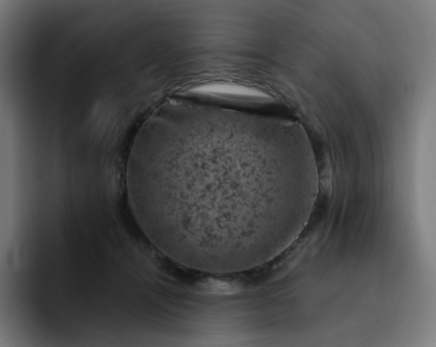 X0000093170464200710101215