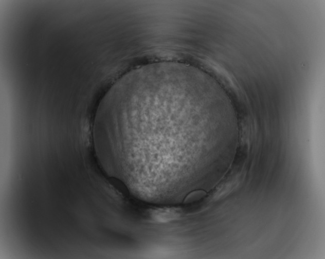 X0000093170465200710101215