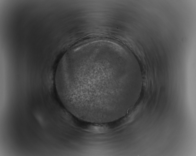 X0000093170466200710101216