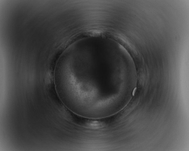 X0000093170467200710101216