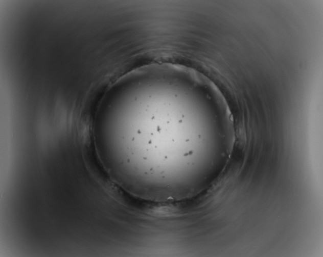 X0000093170468200710101216