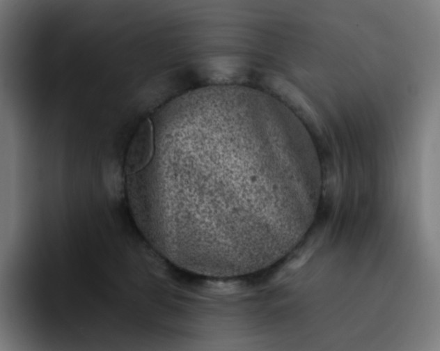 X0000093170469200710101216