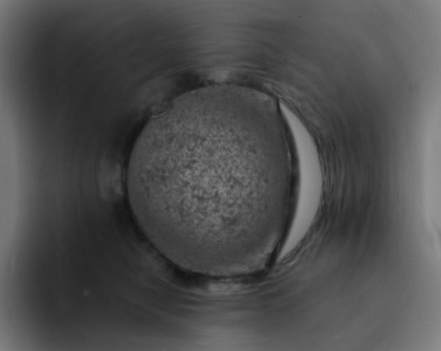 X0000093170470200710101216