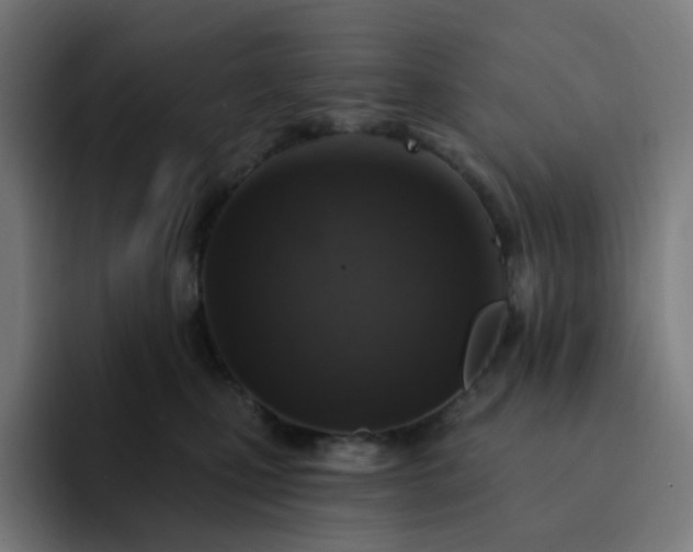 X0000093170471200710101216