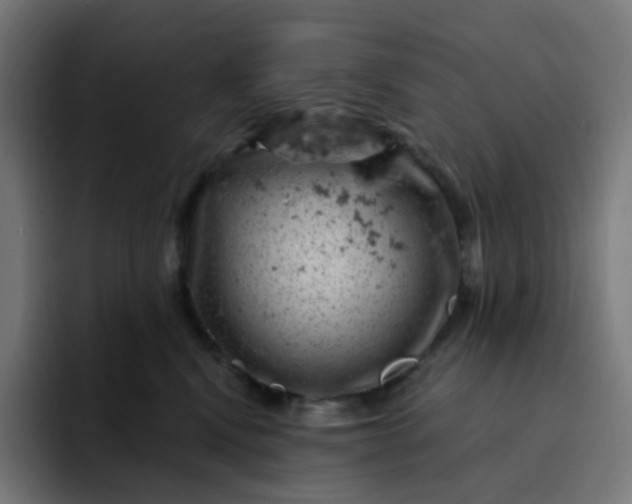 X0000093170472200710101216