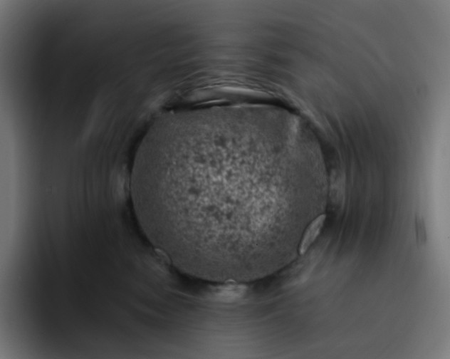 X0000093170474200710101216