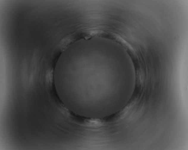 X0000093170475200710101216