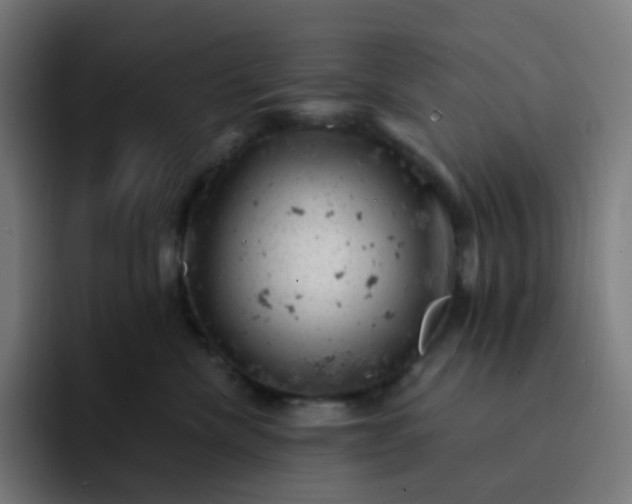 X0000093170476200710101216
