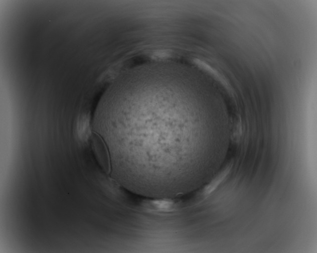 X0000093170478200710101216