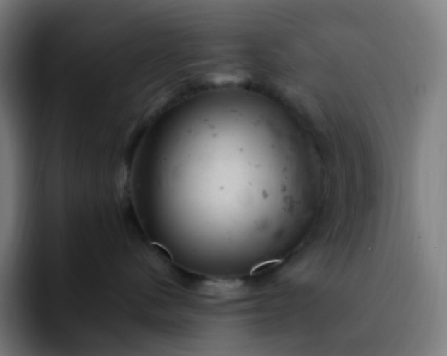 X0000093170480200710101216