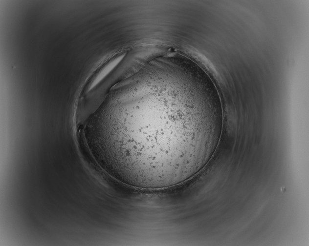 X0000093170482200710101215