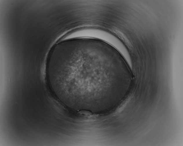 X0000093170484200710101215