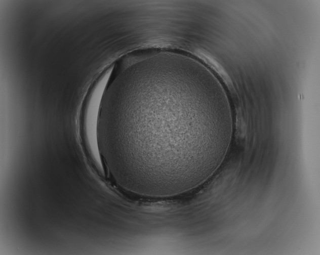 X0000093170485200710101215