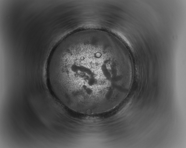 X0000093170487200710101215