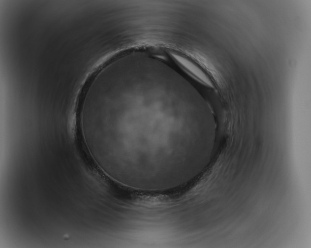 X0000093170488200710101215
