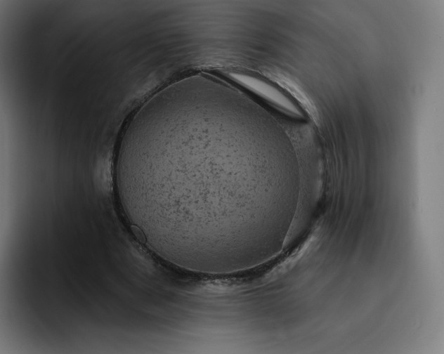 X0000093170489200710101215