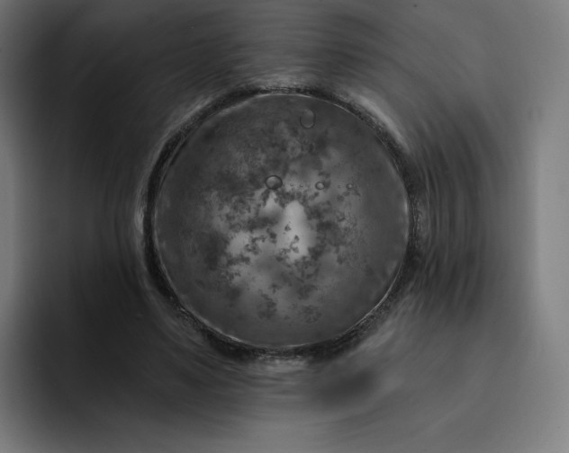 X0000093170491200710101215
