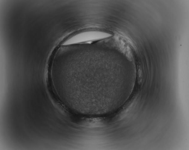X0000093170492200710101215