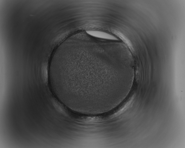 X0000093170493200710101215