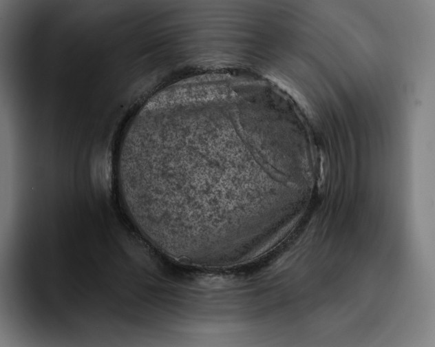 X0000093170494200710101215
