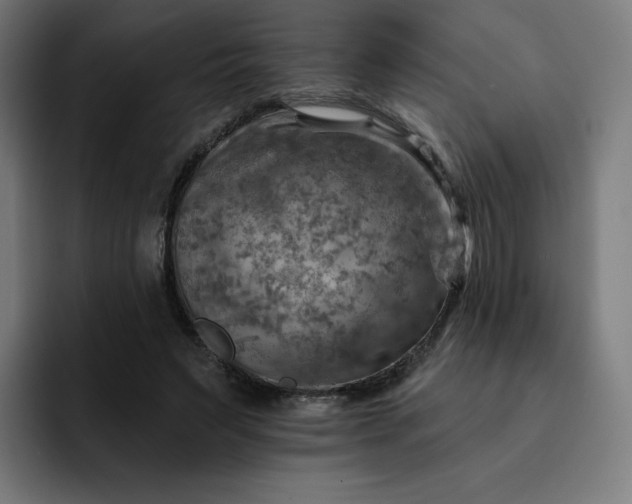 X0000093170495200710101215