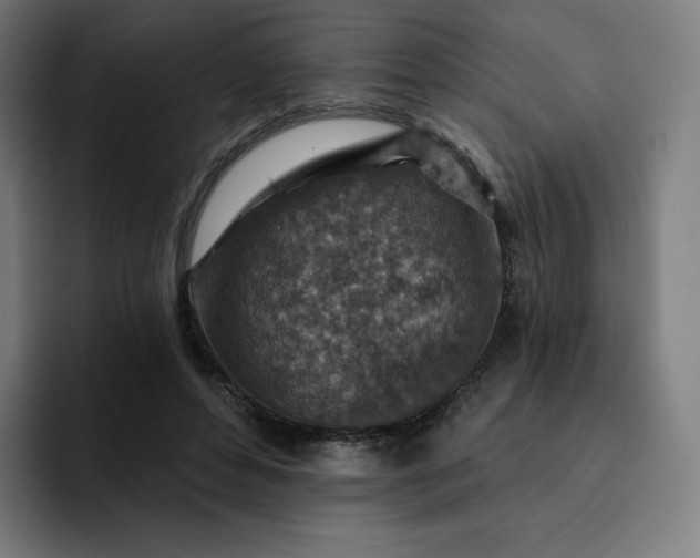 X0000093170496200710101215