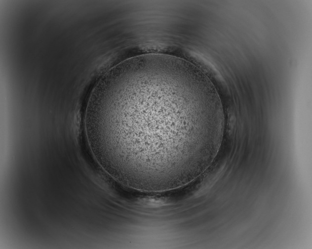 X0000093170498200710101215