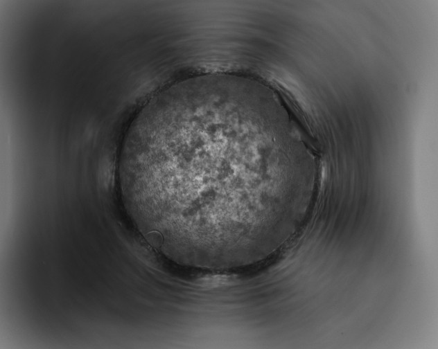 X0000093170499200710101215