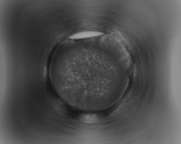 X0000093170500200710101215