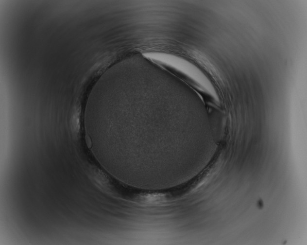 X0000093170501200710101215