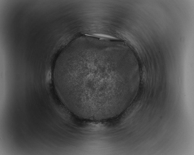 X0000093170502200710101215