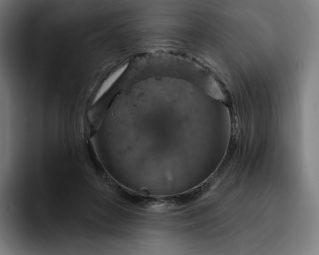 X0000093170504200710101215