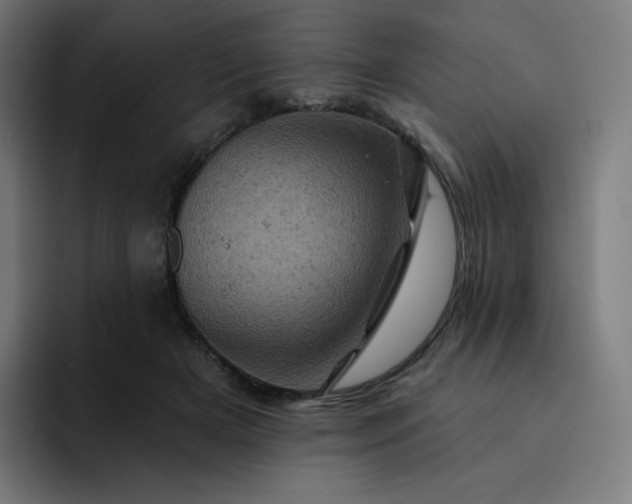 X0000093170505200710101215