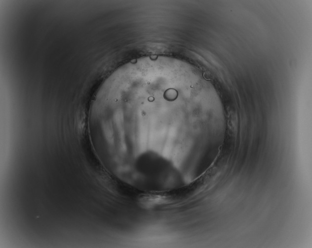 X0000093170507200710101215