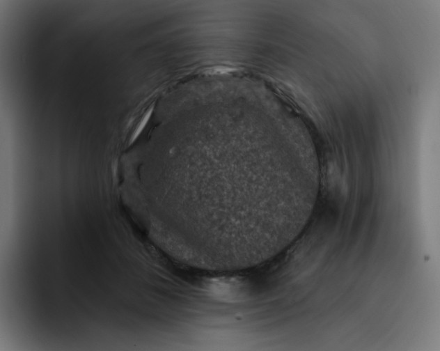 X0000093170508200710101215