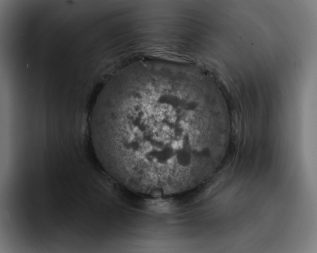 X0000093170511200710101215
