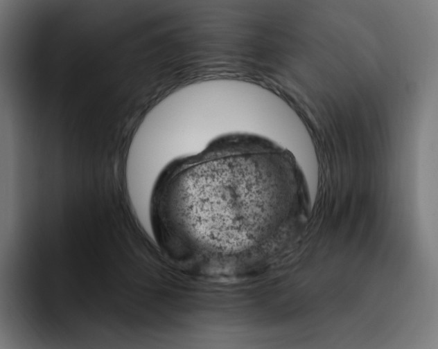 X0000093170512200710101215
