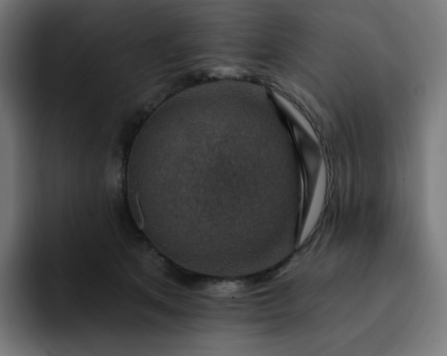 X0000093170513200710101215