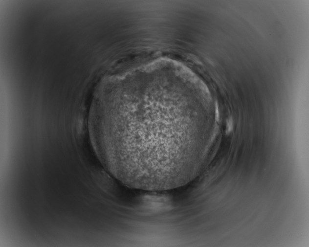 X0000093170515200710101215
