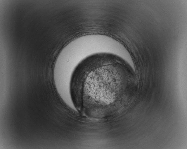 X0000093170516200710101215
