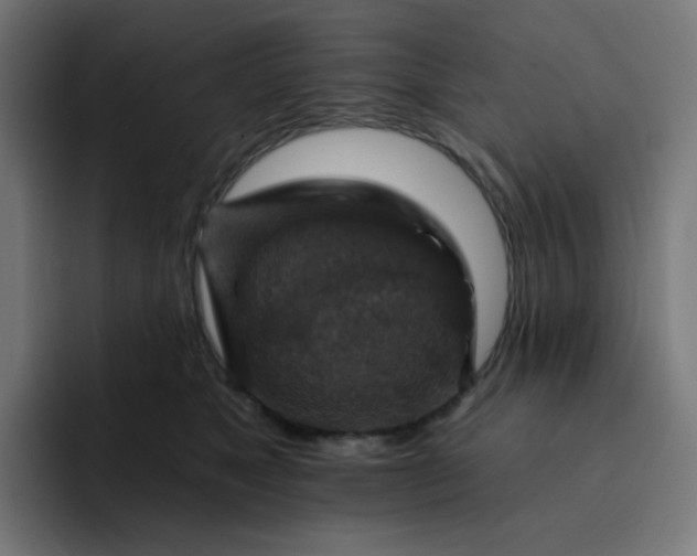 X0000093170517200710101215
