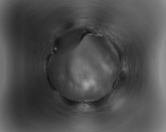 X0000093170519200710101214