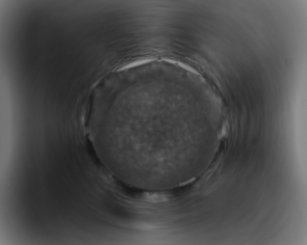 X0000093170520200710101214