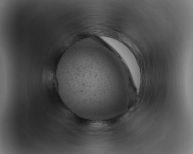 X0000093170521200710101214